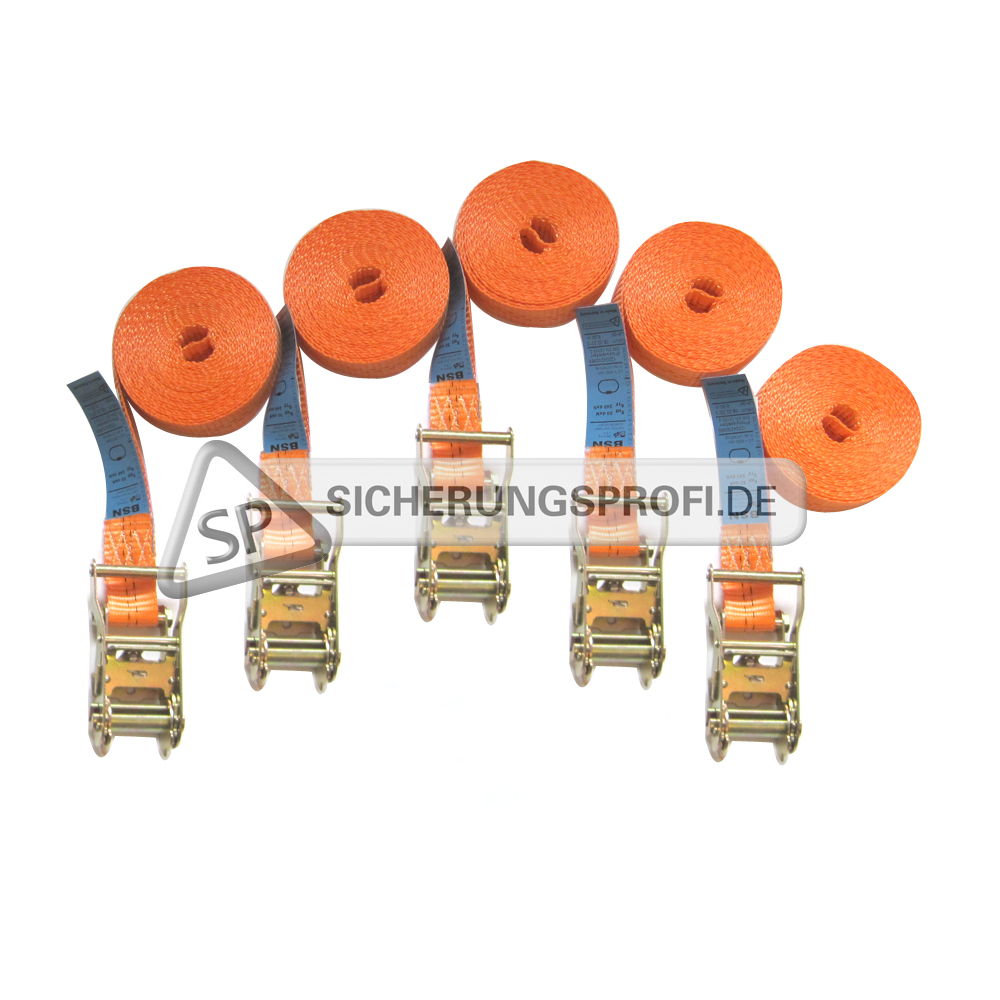 Zurrgurt 2.000 daN, 1teilig, 6 m, 5er Set Zurrgurt 2.000 daN, 1teilig, 6 m, 5er Set